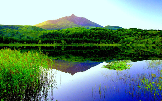 657951 (a): :1920x1200